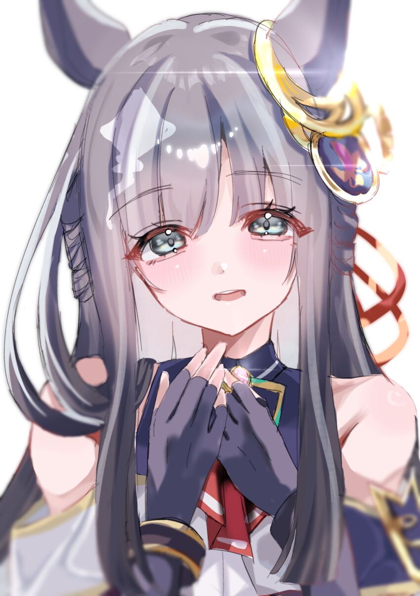 Chrono Genesis (Umamusume) Rule 34 Image