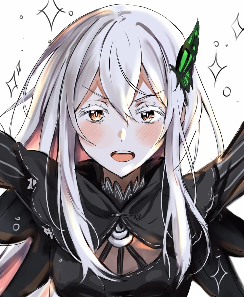 Echidna (Re:Zero) Rule 34 Image