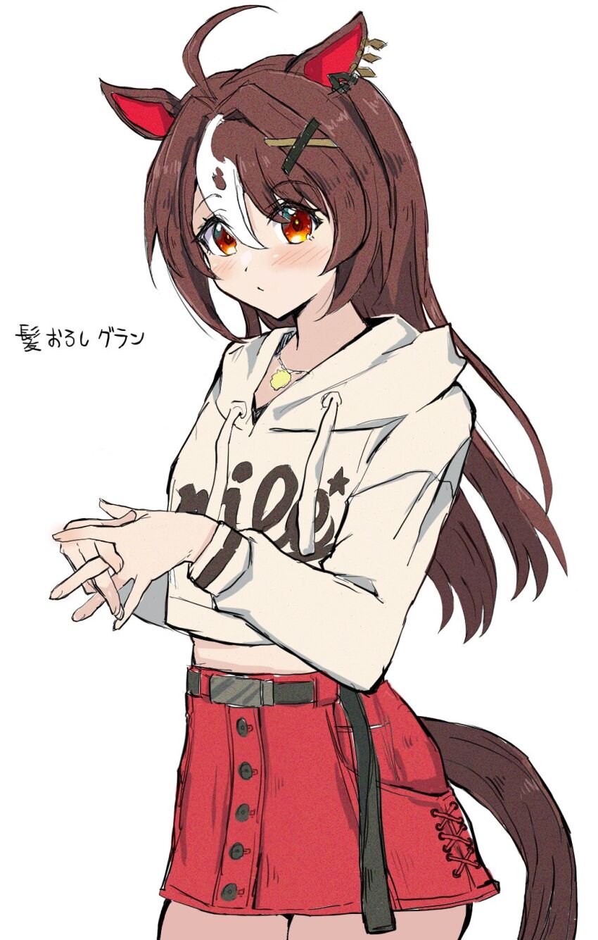 Gran Alegria (Umamusume) Rule 34 Image
