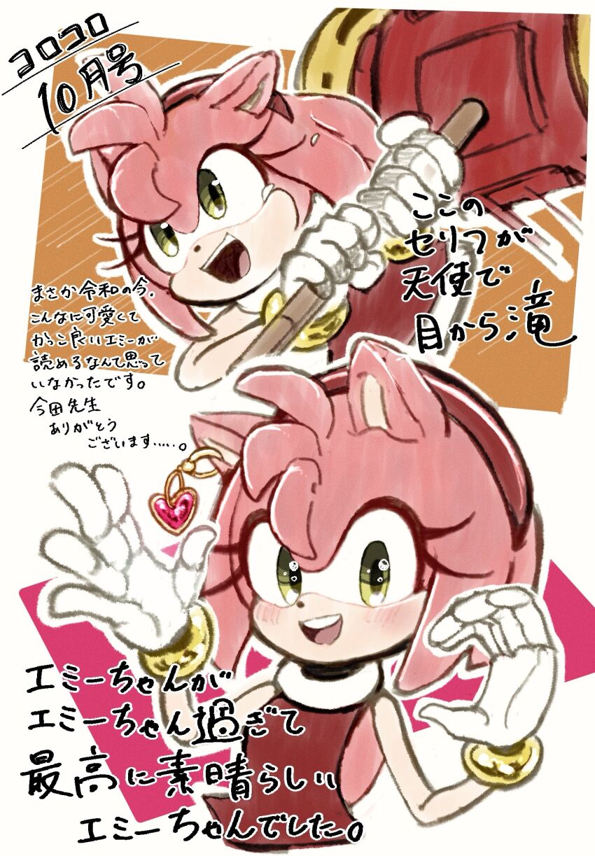 Amy Rose (Sonic (Series)) Rule 34 Image