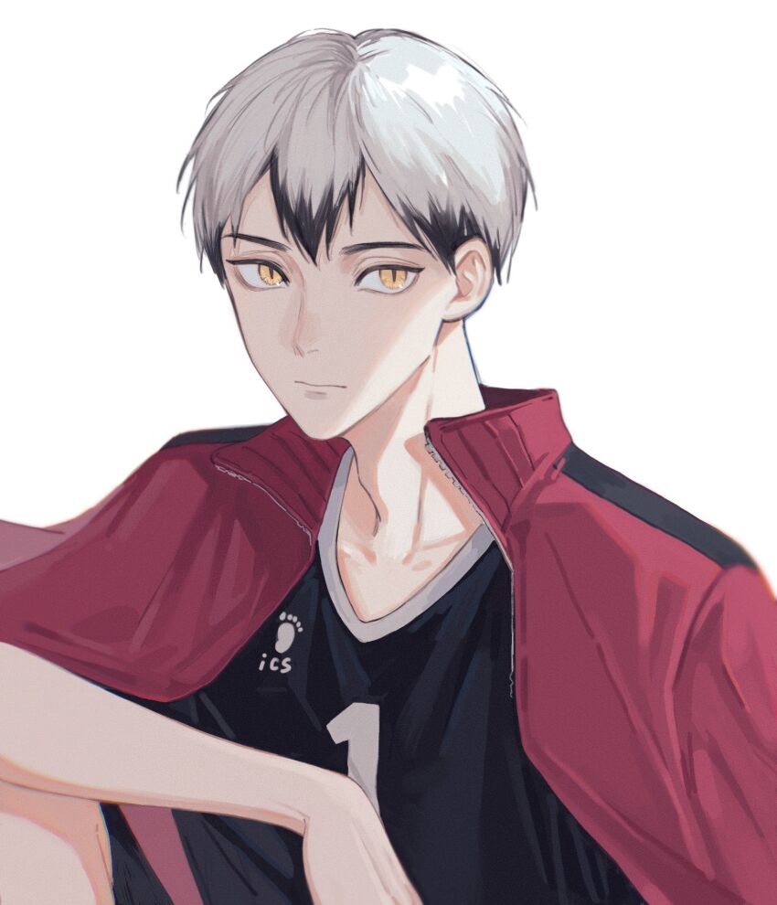 Haikyuu!! Rule 34 Image