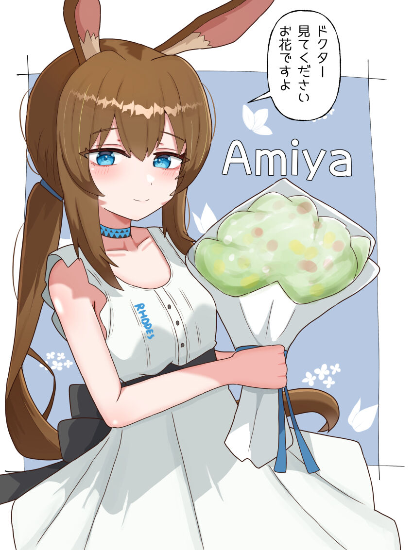Amiya (Arknights) Rule 34 Image