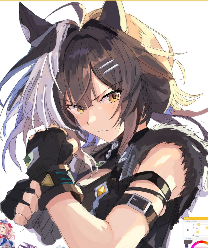 Umamusume Rule 34 Image