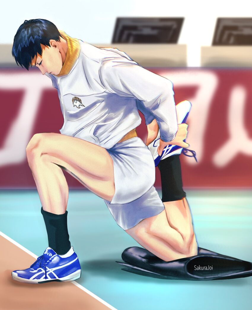 Kageyama Tobio (Haikyuu!!) Rule 34 Image