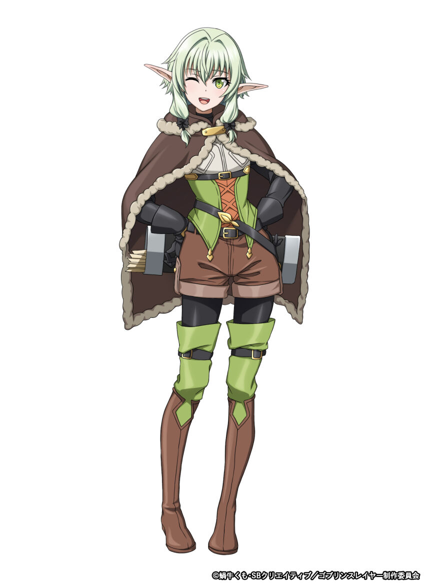 Goblin Slayer! Rule 34 Image