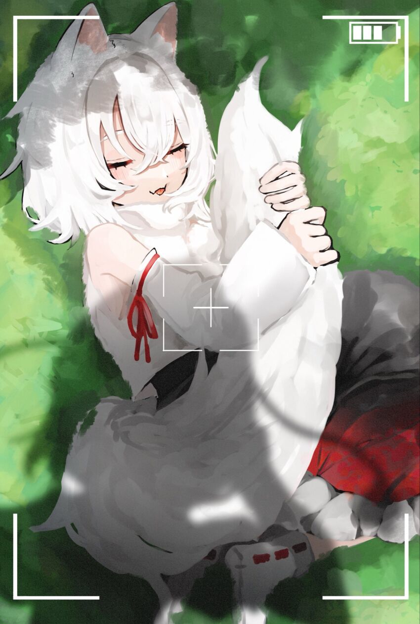 Inubashiri Momiji (Touhou) Rule 34 Image