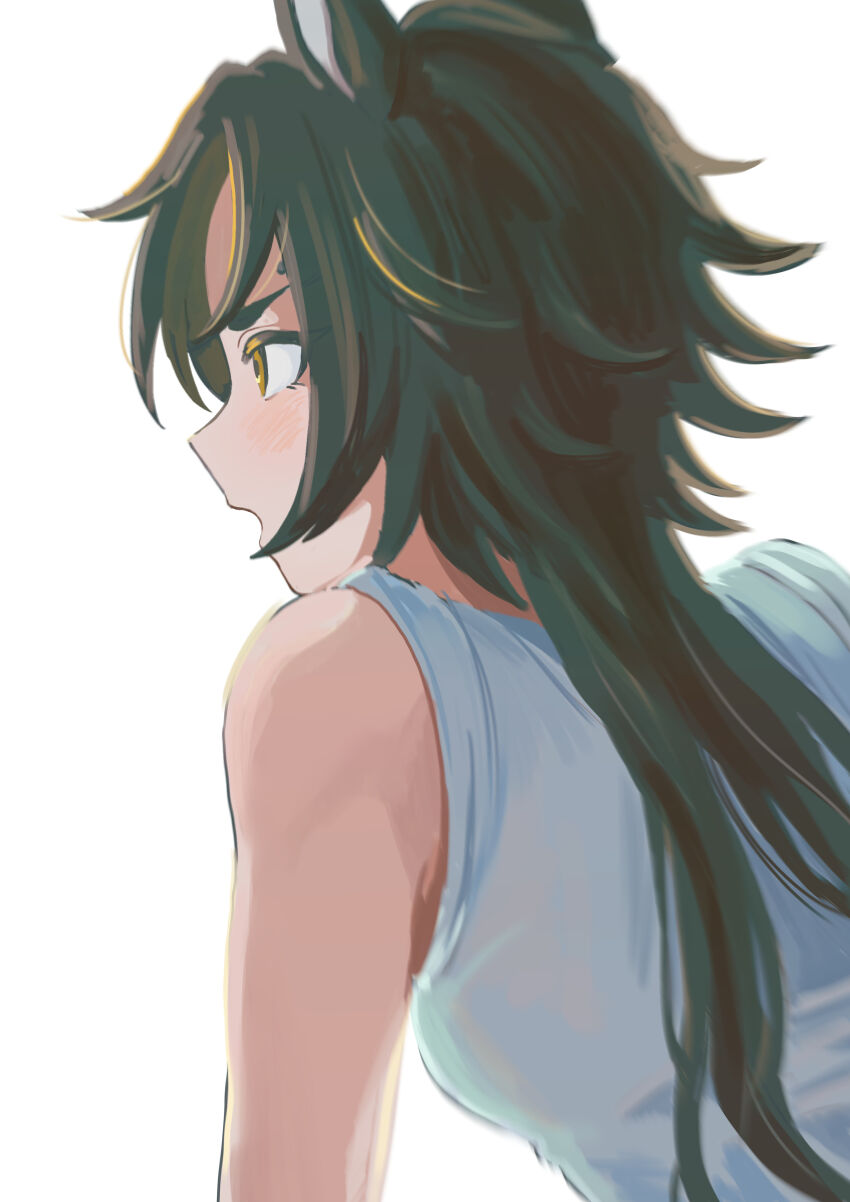 Air Shakur (Umamusume) Rule 34 Image