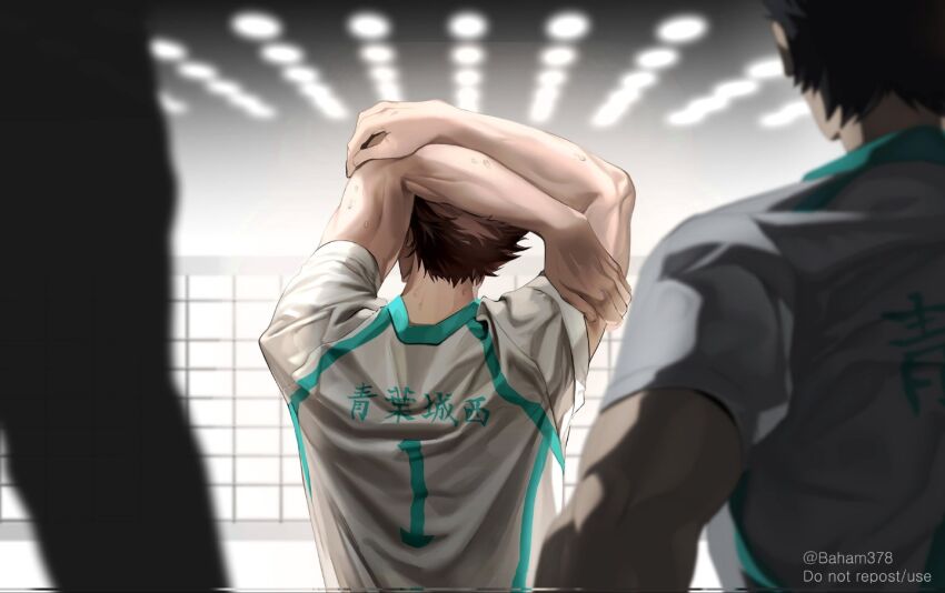 Iwaizumi Hajime (Haikyuu!!) Rule 34 Image