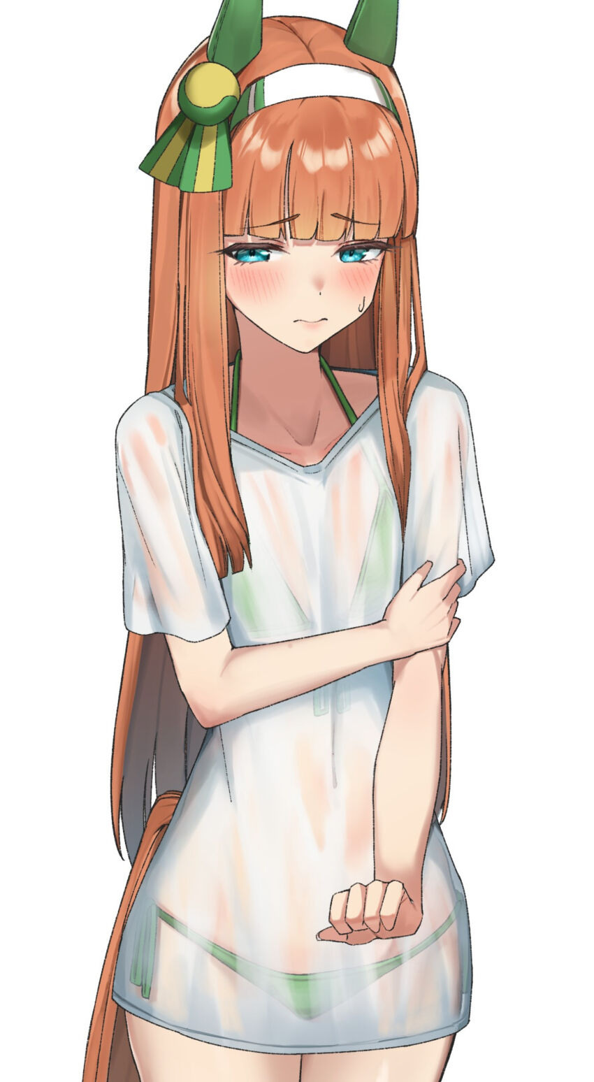 Silence Suzuka (Umamusume) Rule 34 Image