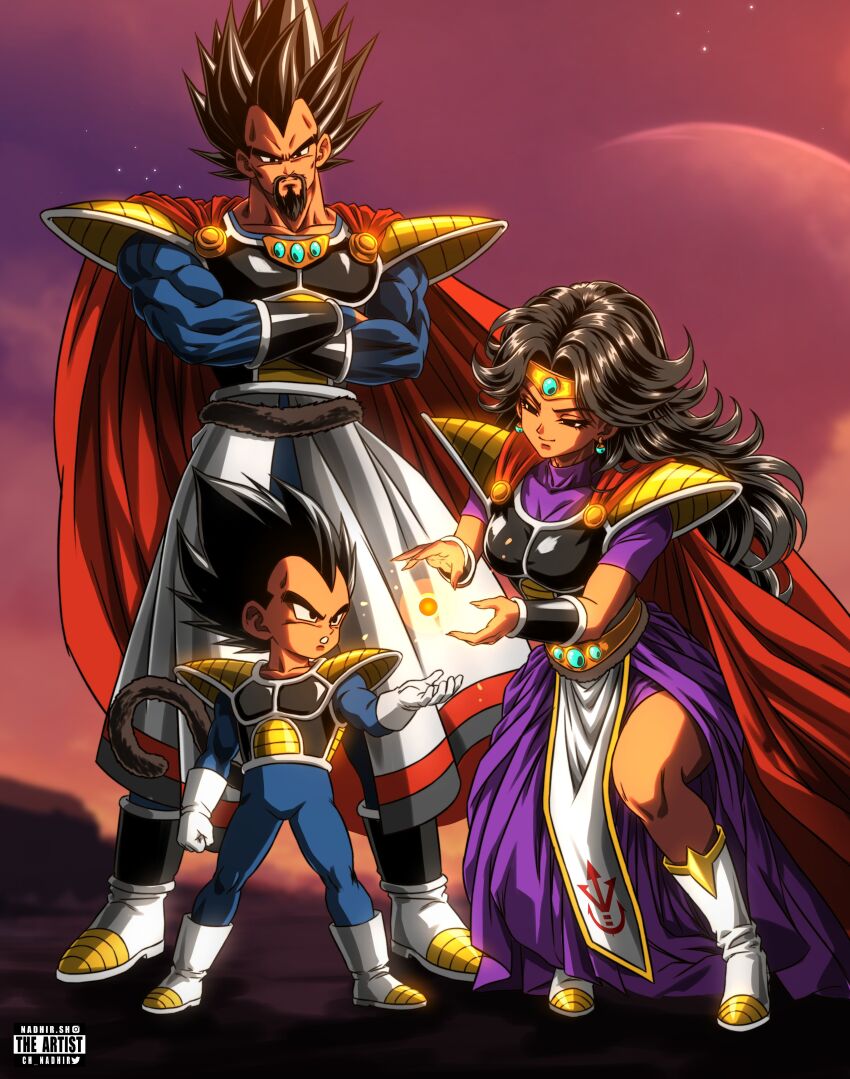 King Vegeta (Dragon Ball) Rule 34 Image