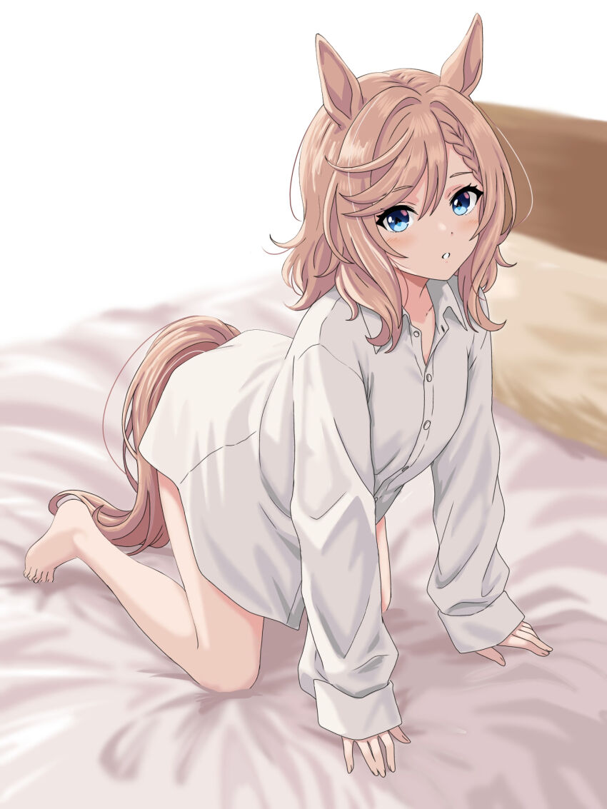 Venus Paques (Umamusume) Rule 34 Image
