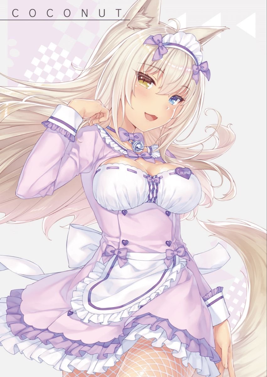 Coconut (Nekopara) Rule 34 Image