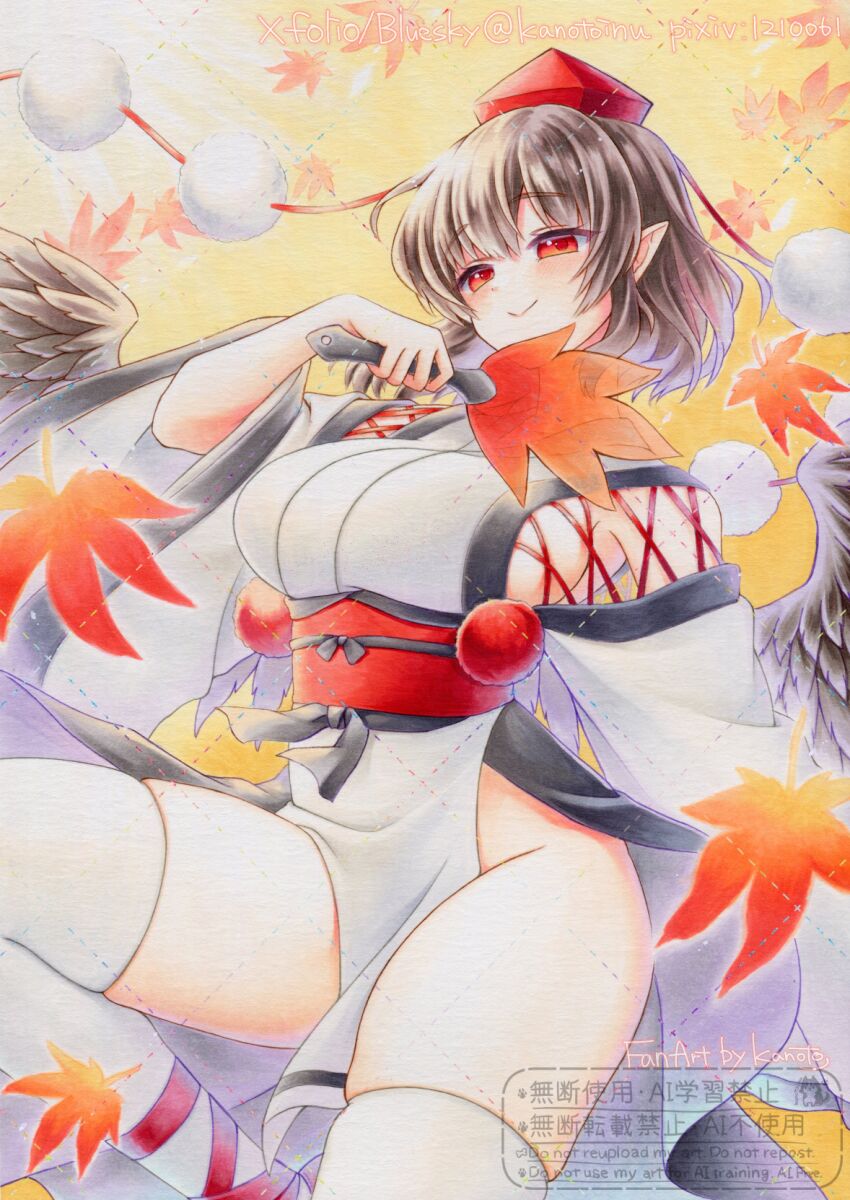 Shameimaru Aya (Touhou) Rule 34 Image