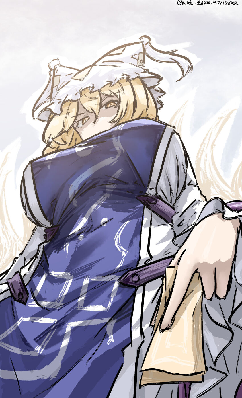 Yakumo Ran (Touhou) Rule 34 Image