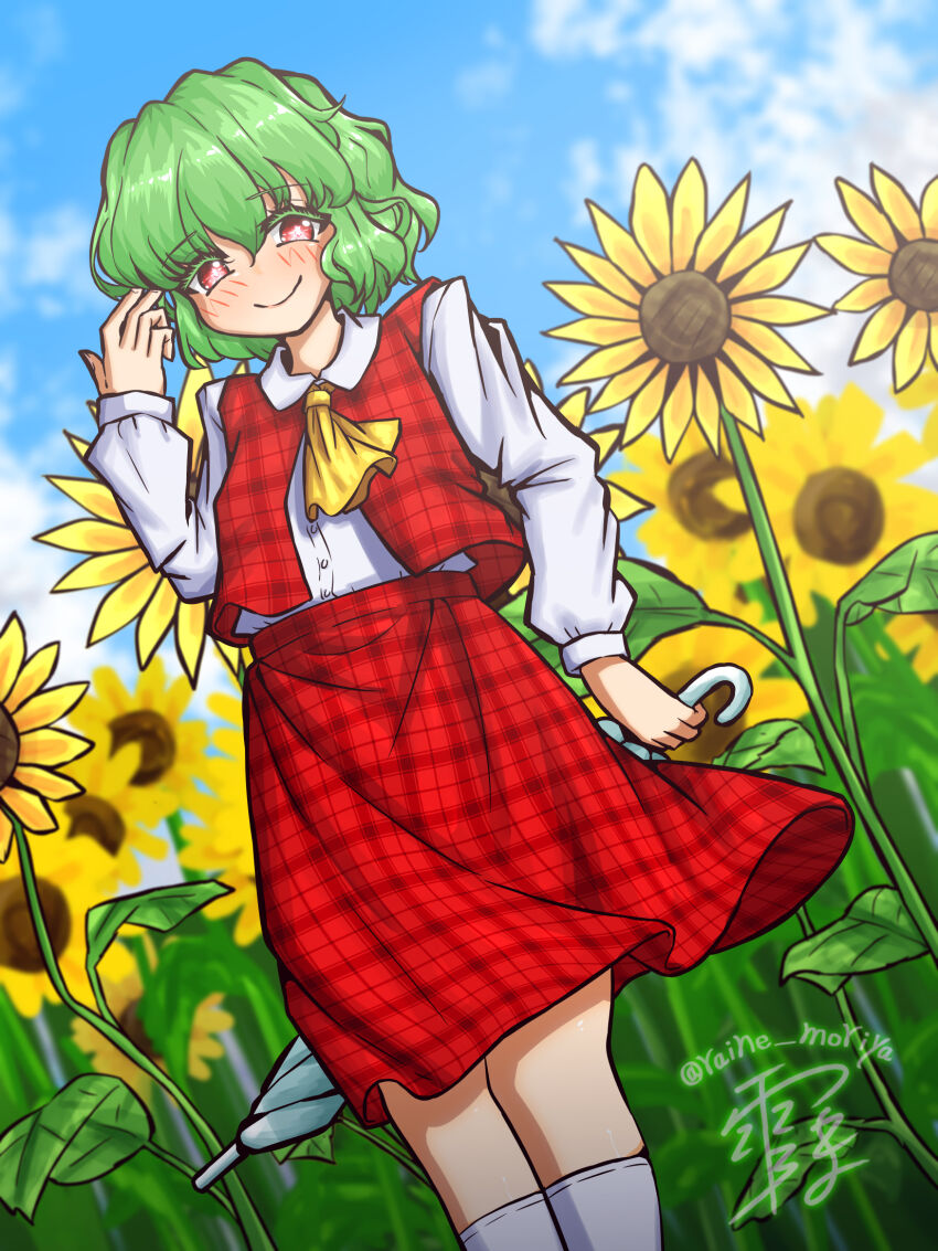 Kazami Yuuka (Touhou) Rule 34 Image