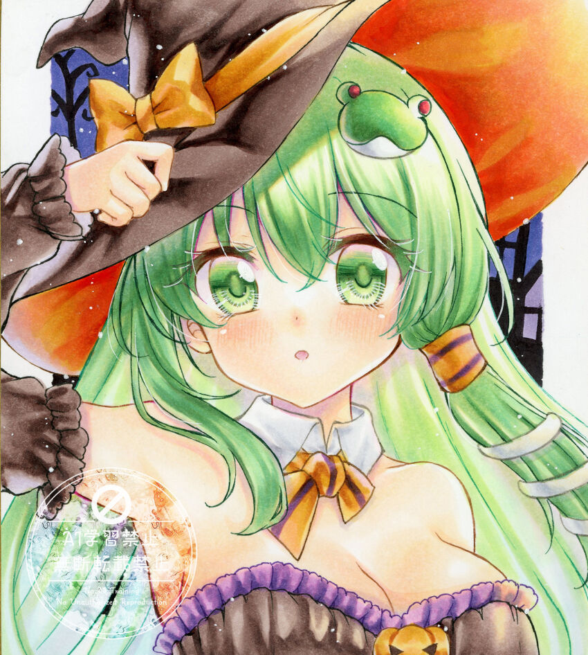 Kochiya Sanae (Halloween) Rule 34 Image