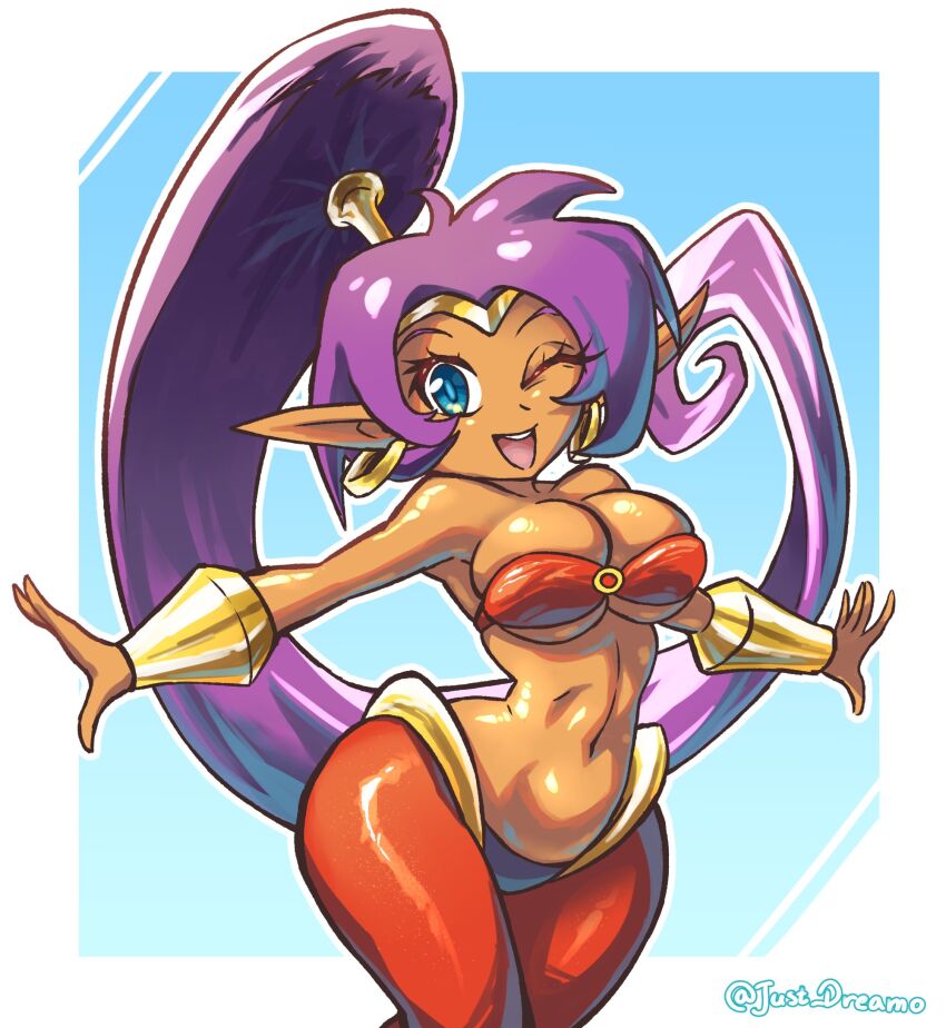 Shantae Rule 34 Image
