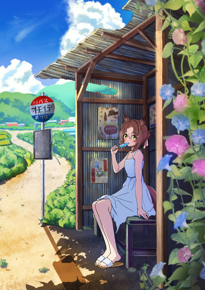 Fine Motion (Umamusume) Rule 34 Image