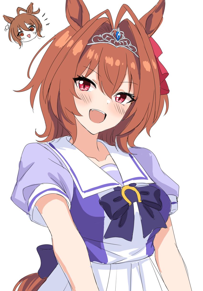 Agnes Tachyon (Umamusume) Rule 34 Image
