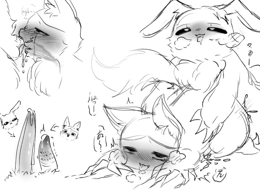 Hachiware (Chiikawa) Rule 34 Image