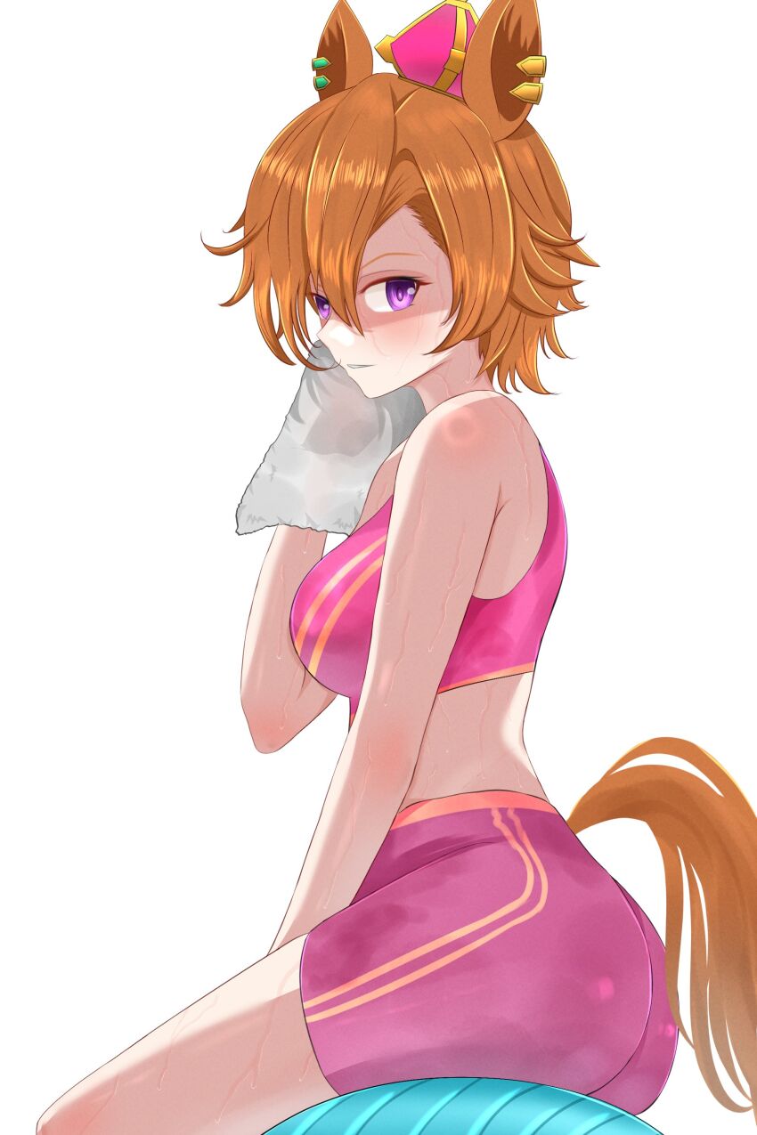 T.M. Opera O (O Sole Suo!) (Umamusume) Rule 34 Image