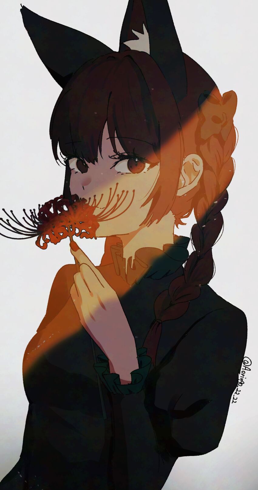 Kaenbyou Rin (Touhou) Rule 34 Image