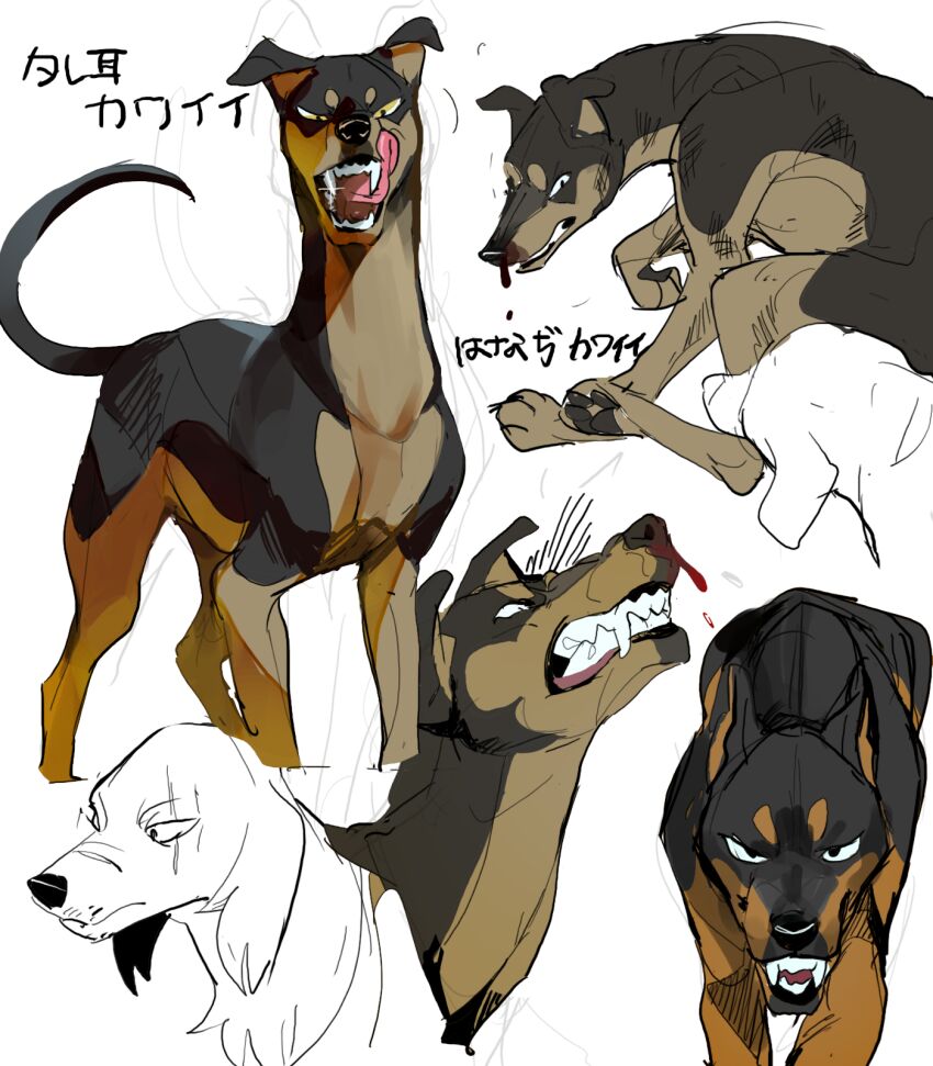 Character Request (Ginga Nagareboshi Gin) Rule 34 Image