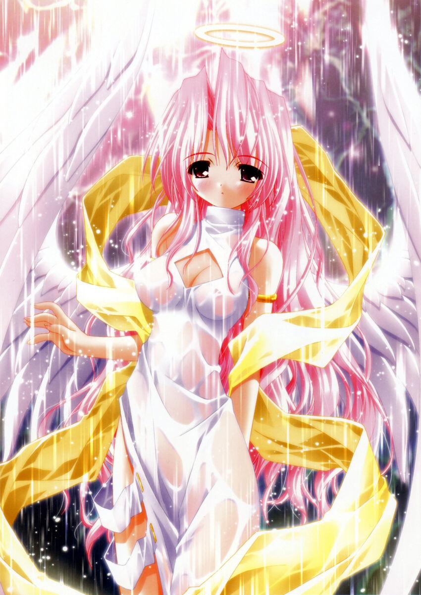 Angel Rule 34 Image