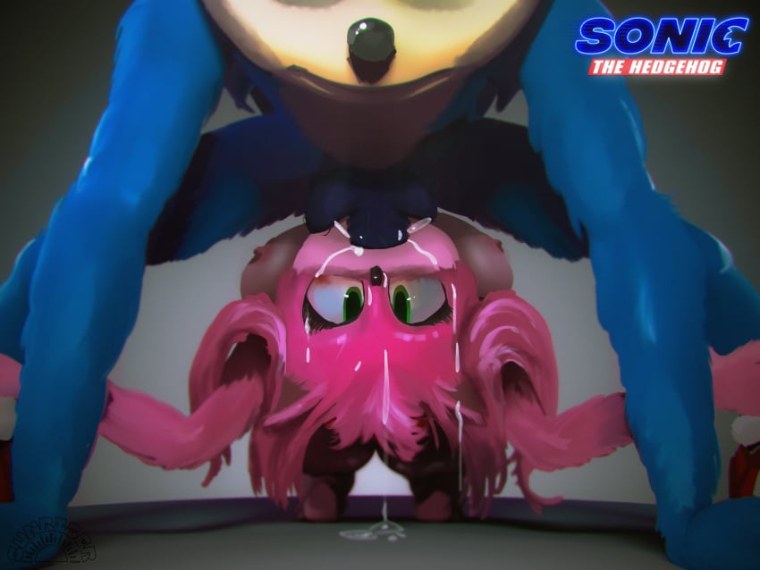 Amy Rose (Sonic (Series)) Rule 34 Image