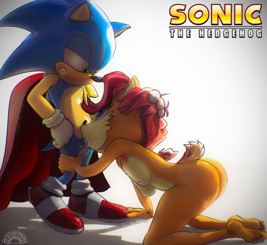 Sally Acorn (Sega) Rule 34 Image