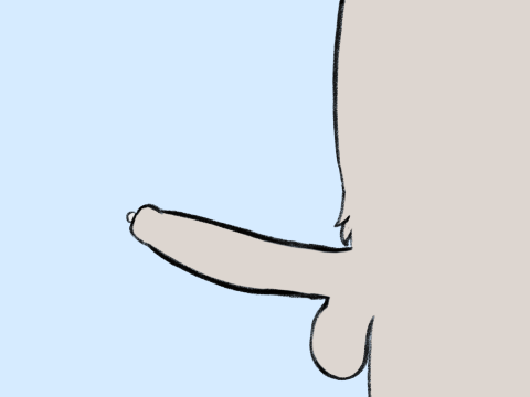Animated Rule 34 Image