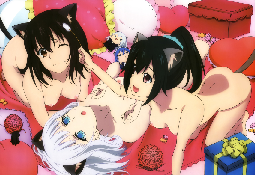 Akatsuki Nagisa (Strike The Blood) Rule 34 Image