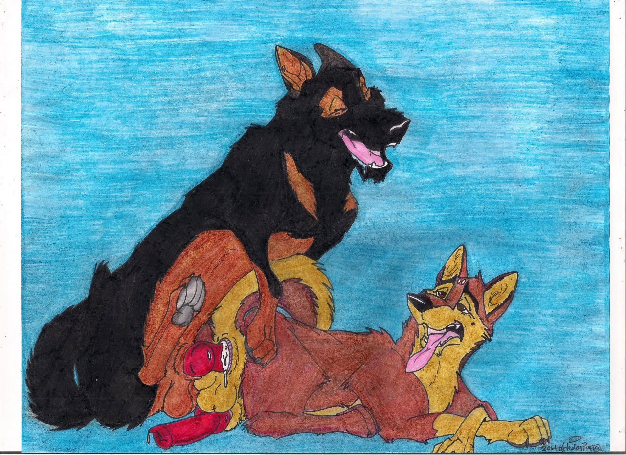 Streetdog (Non) Rule 34 Image