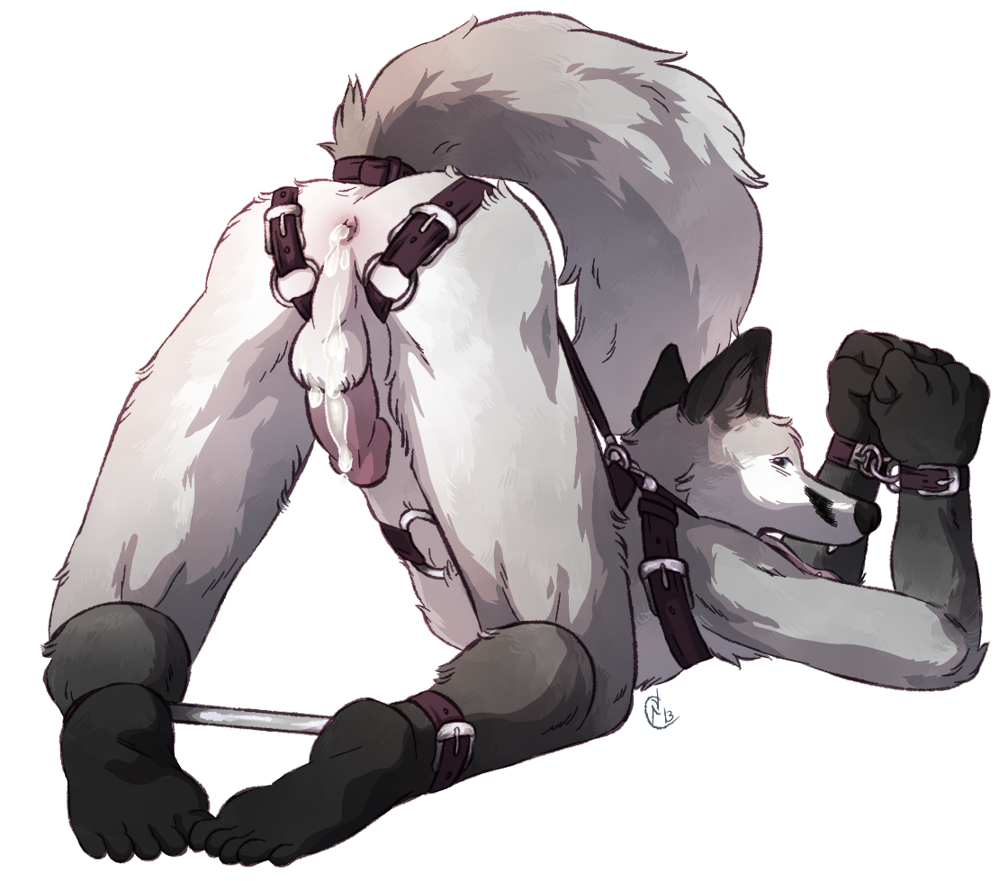 Anthro Rule 34 Image