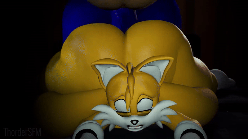 Sonic (Series) Rule 34 Image