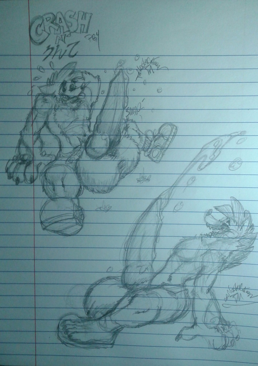 Character Request (Crash (Series)) Rule 34 Image