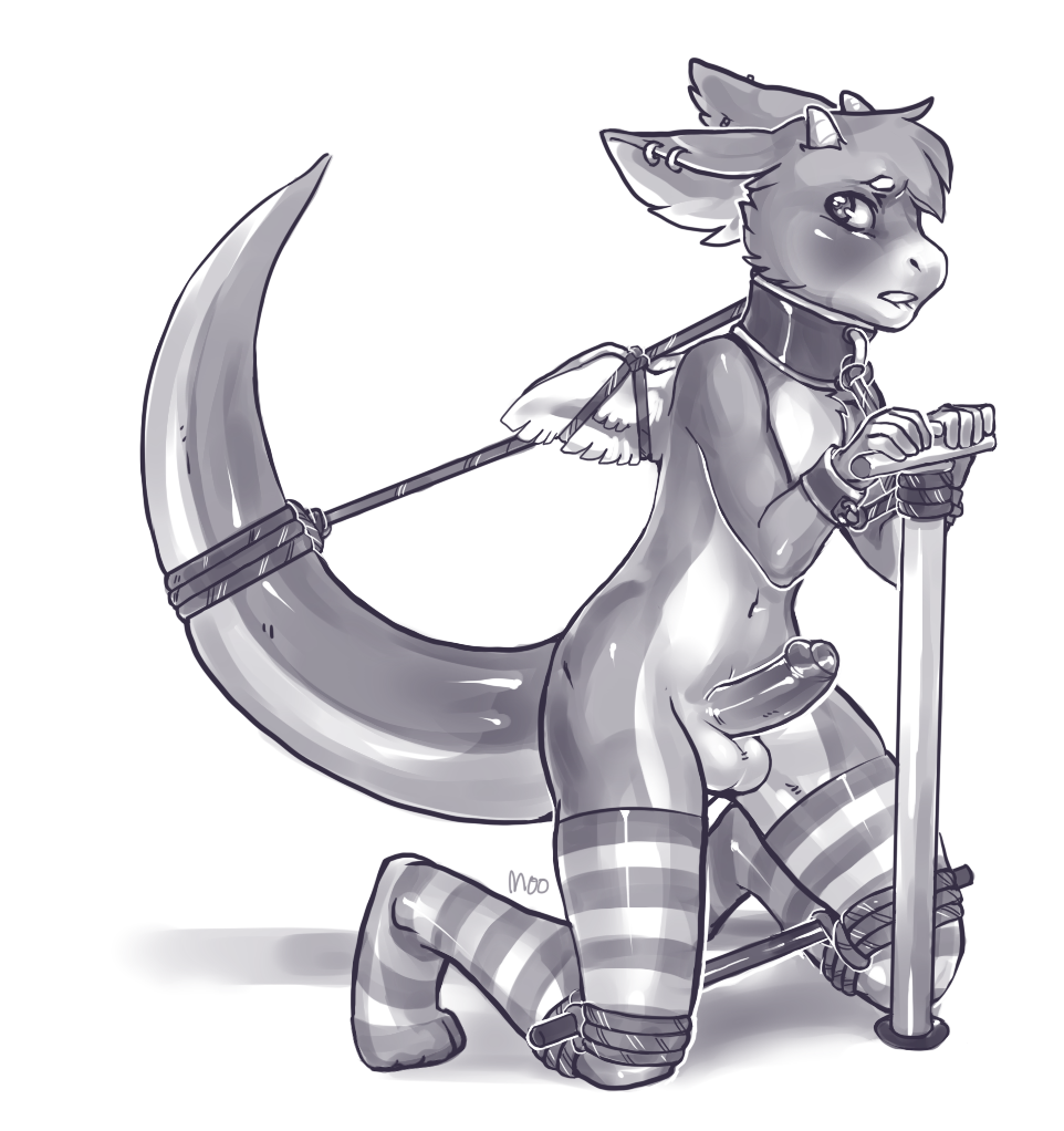 Anthro Rule 34 Image