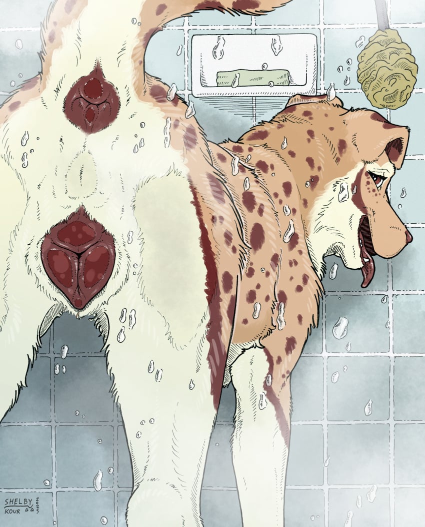 Paprika (Imperial-Exe) Rule 34 Image