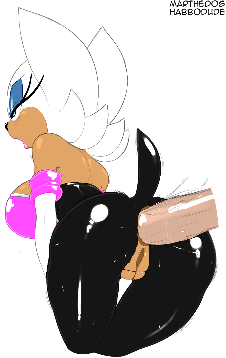 Rouge The Bat (Sega) Rule 34 Image