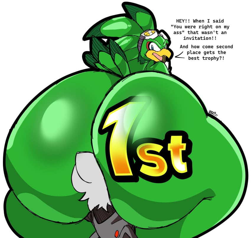 Jet The Hawk (Sonic (Series)) Rule 34 Image
