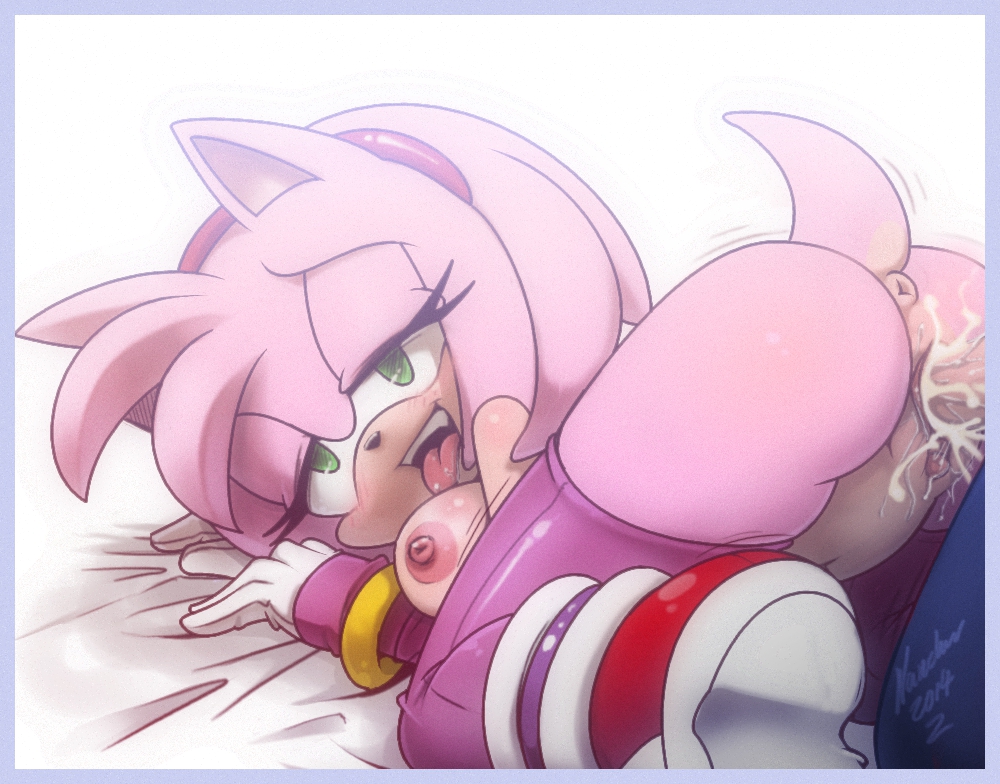 Amy Rose (Boom) Rule 34 Image