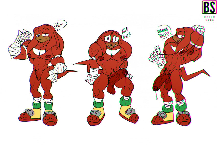 Knuckles The Echidna (Sega) Rule 34 Image