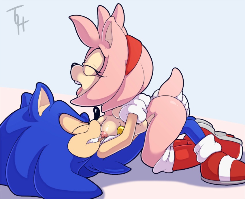 Amy Rose (Sonic (Series)) Rule 34 Image