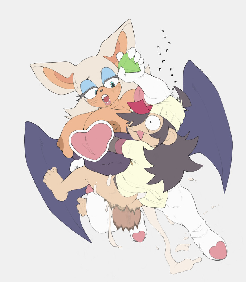 Rouge The Bat (Sonic (Series)) Rule 34 Image