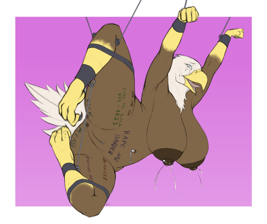 Accipitrid Rule 34 Image