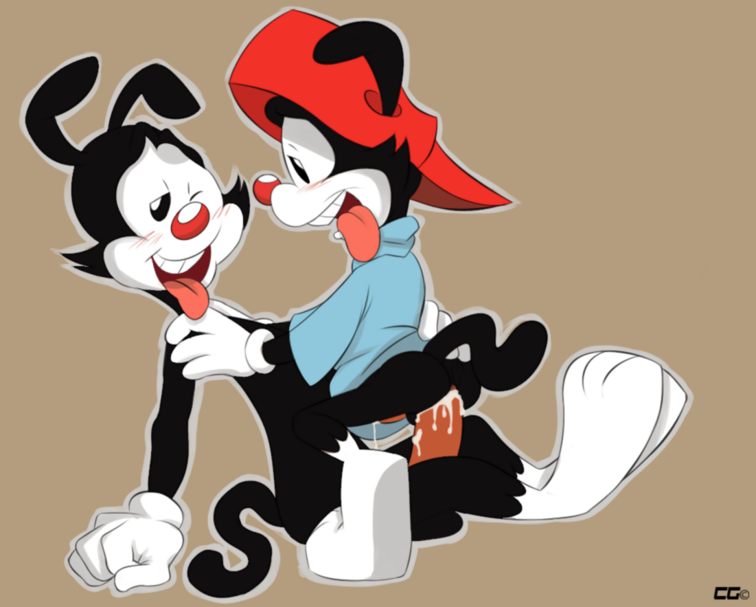 Wakko Warner (Animaniacs) Rule 34 Image