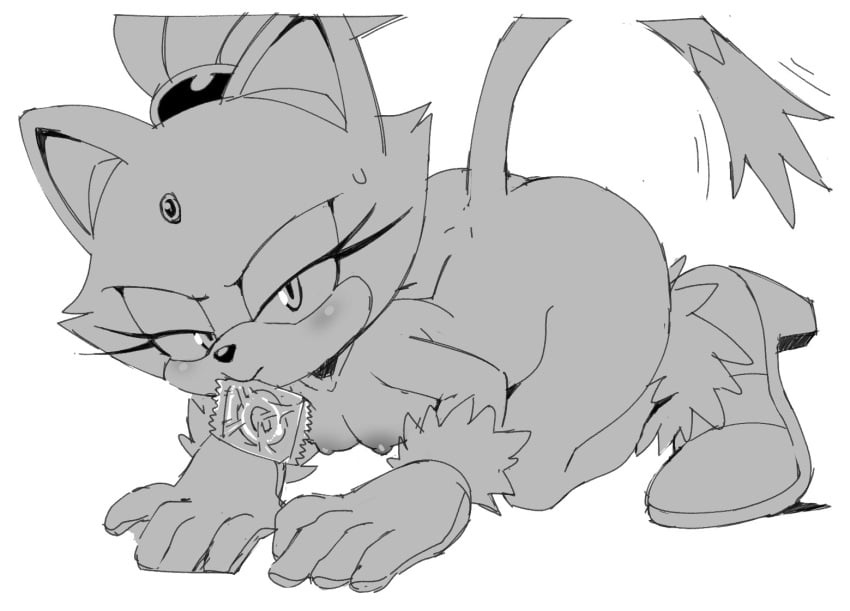 Blaze The Cat (Sega) Rule 34 Image