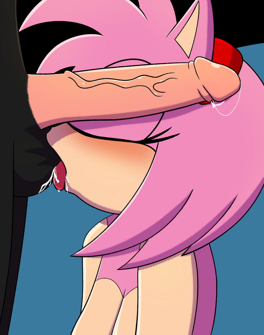 Amy Rose (Sega) Rule 34 Image