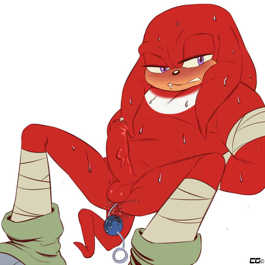 Knuckles (Boom) Rule 34 Image