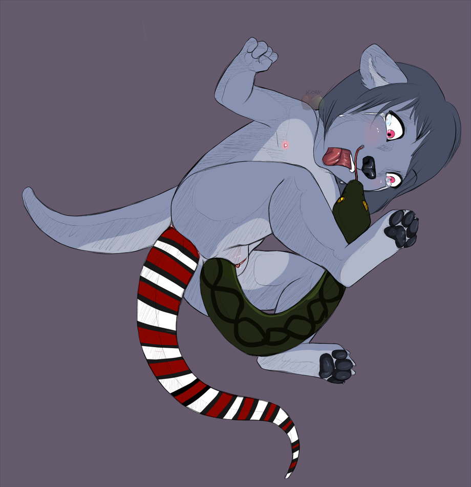 Acorn (Artist) Rule 34 Image
